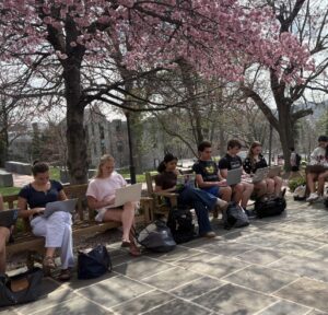 Students sit outside on a spring day using laptops and in the background is a blooming tree 